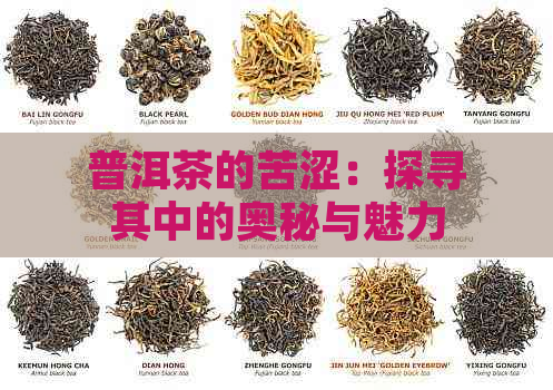 普洱茶的苦涩：探寻其中的奥秘与魅力