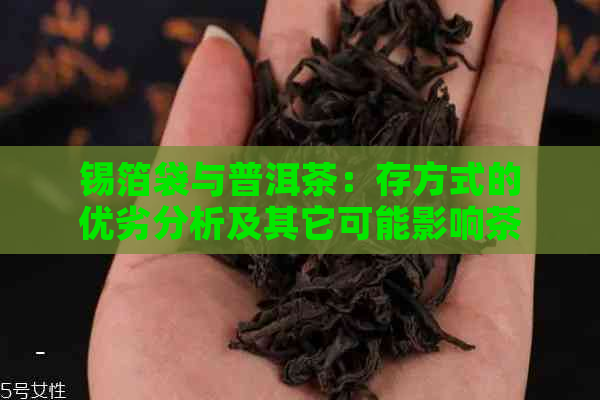 锡箔袋与普洱茶：存方式的优劣分析及其它可能影响茶叶品质的因素