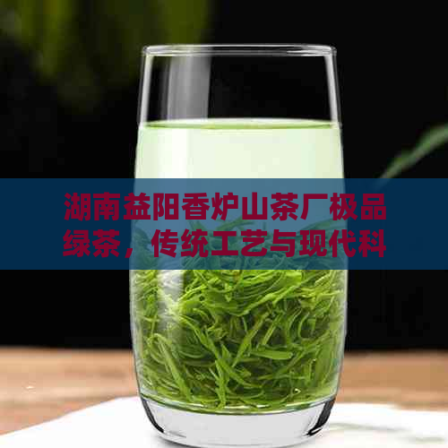 湖南益阳香炉山茶厂极品绿茶，传统工艺与现代科技完美结合