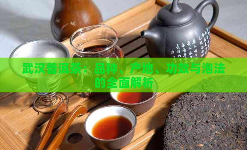 武汉普洱茶：品种、产地、功效与泡法的全面解析