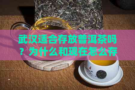 武汉适合存放普洱茶吗？为什么和现在怎么存放？