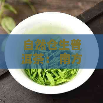 自然仓生普洱茶： 南方生态普洱茶的魅力