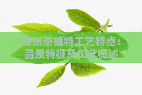 普洱茶独特工艺特点：品质特征及工艺概述