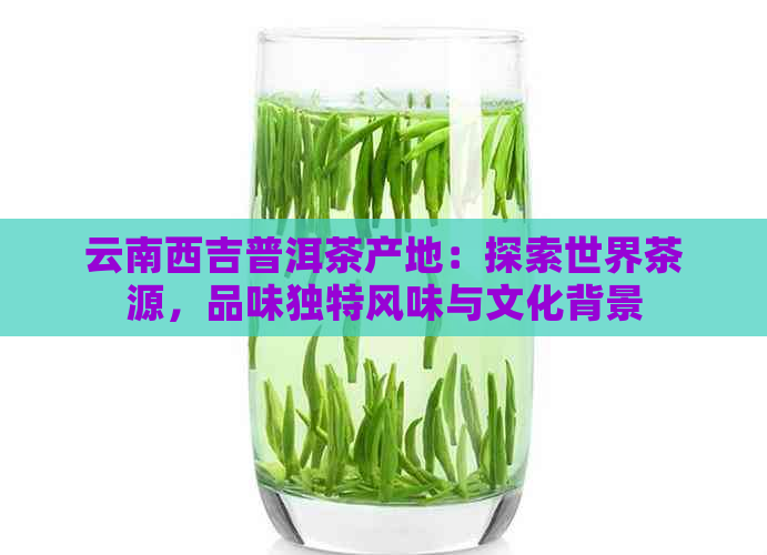 云南西吉普洱茶产地：探索世界茶源，品味独特风味与文化背景