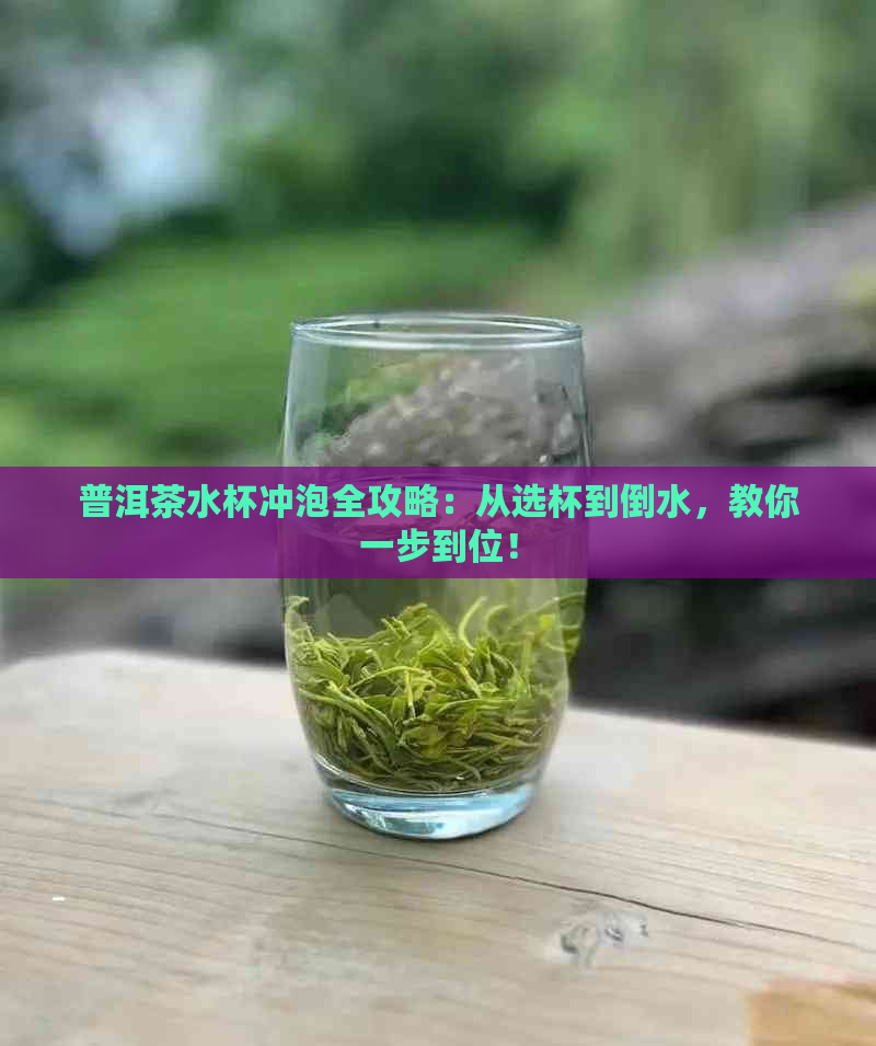 普洱茶水杯冲泡全攻略：从选杯到倒水，教你一步到位！