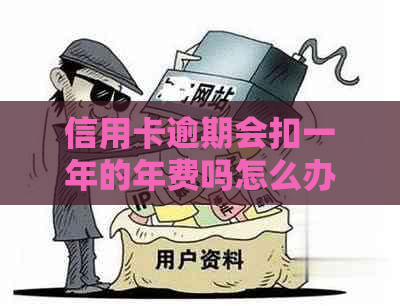 信用卡逾期会扣一年的年费吗怎么办，信用卡逾期费用及处理方法。