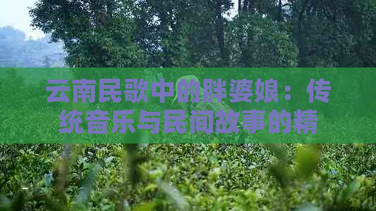 云南民歌中的胖婆娘：传统音乐与民间故事的精彩融合