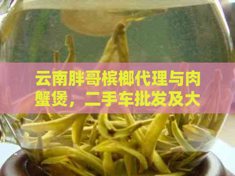 云南胖哥槟榔代理与肉蟹煲，二手车批发及大乐透中奖