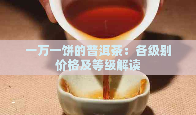 一万一饼的普洱茶：各级别价格及等级解读