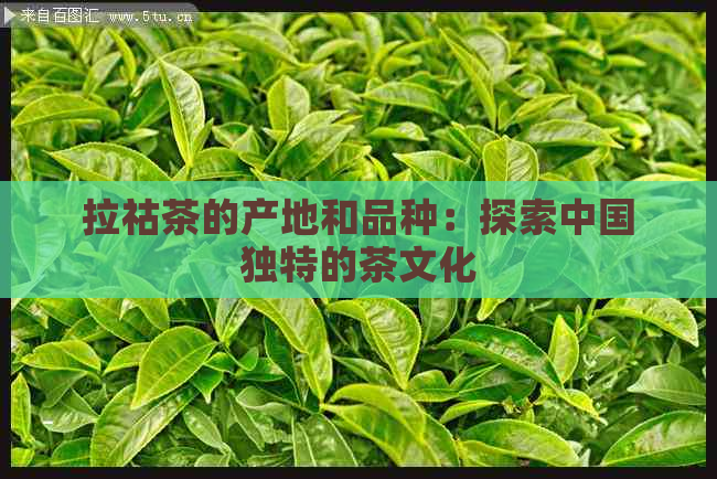 拉祜茶的产地和品种：探索中国独特的茶文化