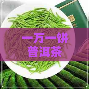 一万一饼普洱茶