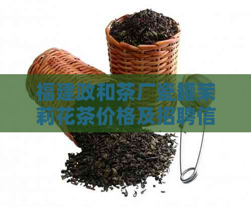 福建政和茶厂瓷罐茉莉花茶价格及招聘信息，市场位置全解析