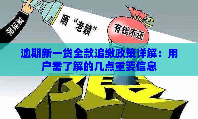 逾期新一贷全款追缴政策详解：用户需了解的几点重要信息