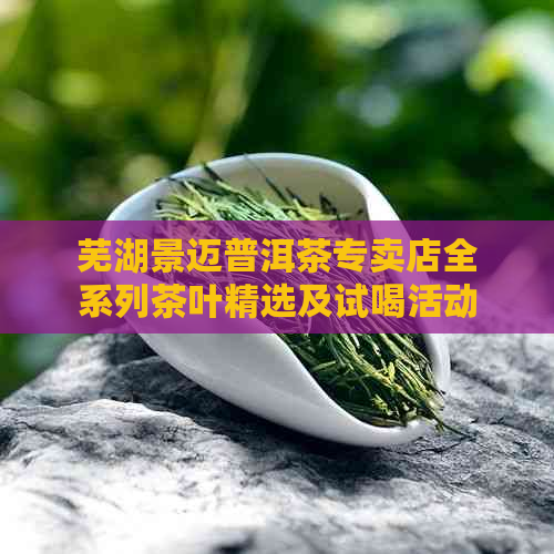 芜湖景迈普洱茶专卖店全系列茶叶精选及试喝活动