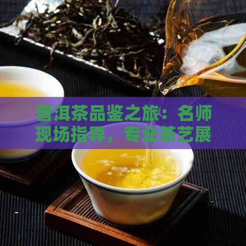 普洱茶品鉴之旅：名师现场指导，专业茶艺展示，限时直播互动分享