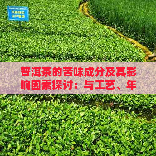 普洱茶的苦味成分及其影响因素探讨：与工艺、年份和存方式相关