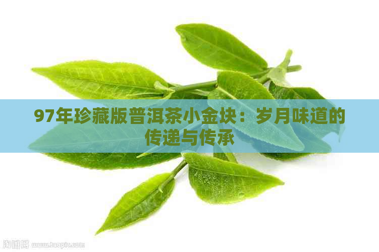 97年珍藏版普洱茶小金块：岁月味道的传递与传承