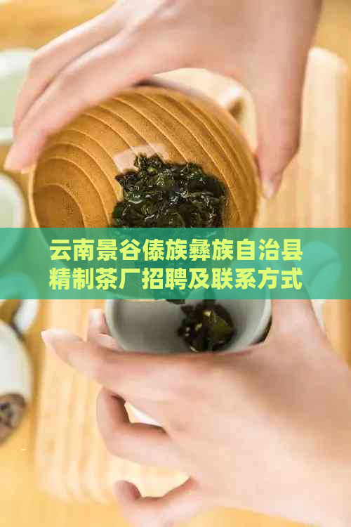 云南景谷傣族彝族自治县精制茶厂招聘及联系方式