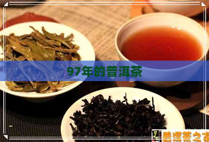 97年的普洱茶