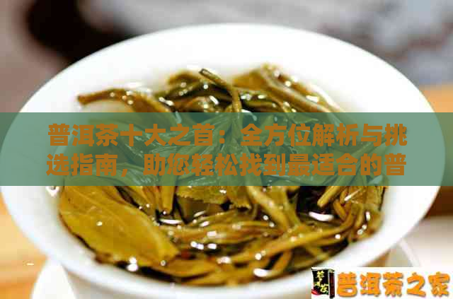 普洱茶十大之首：全方位解析与挑选指南，助您轻松找到最适合的普洱茶