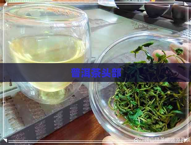 普洱茶头部