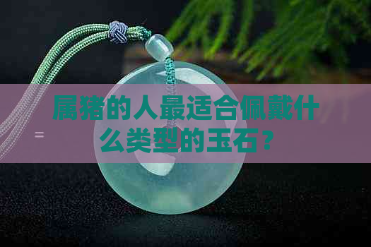 属猪的人最适合佩戴什么类型的玉石？