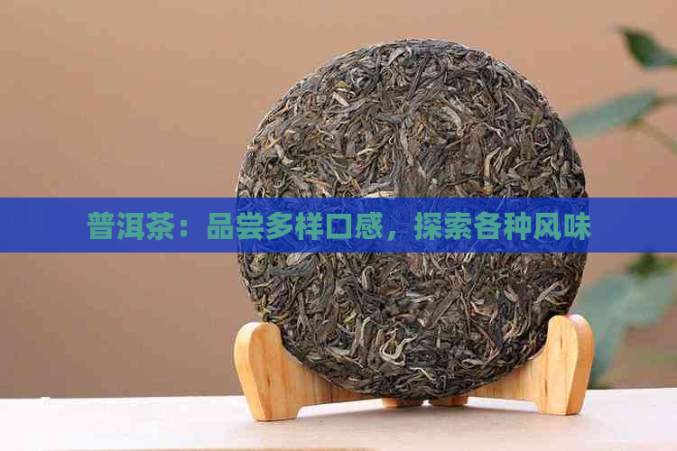 普洱茶：品尝多样口感，探索各种风味