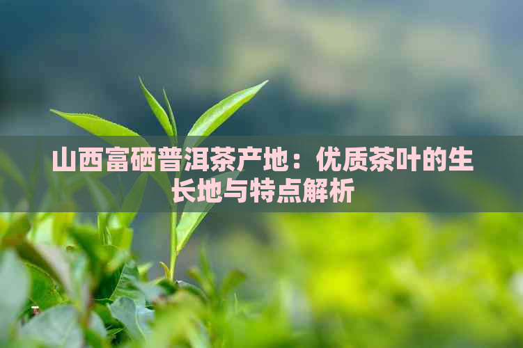 山西富硒普洱茶产地：优质茶叶的生长地与特点解析