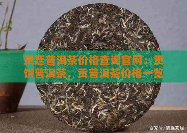 贡廷普洱茶价格查询官网：贡饼普洱茶，贡普洱茶价格一览表