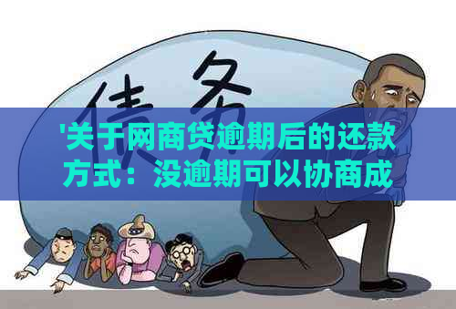 '关于网商贷逾期后的还款方式：没逾期可以协商成36期还吗？'