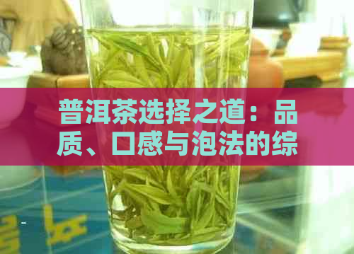 普洱茶选择之道：品质、口感与泡法的综合考量