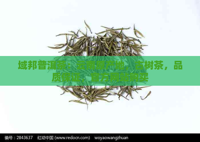 域邦普洱茶：云南原产地，古树茶，品质保证，官方网站购买