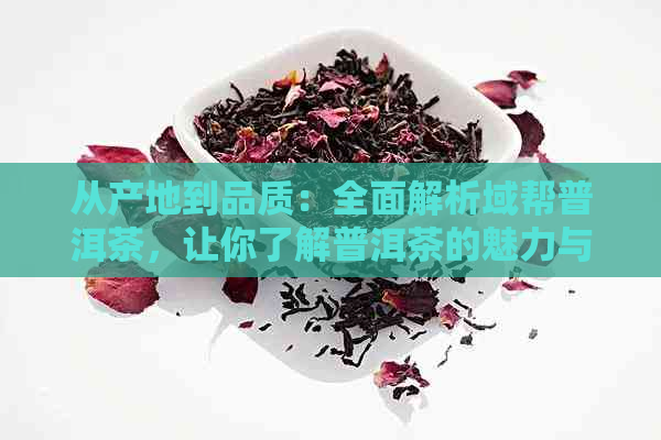 从产地到品质：全面解析域帮普洱茶，让你了解普洱茶的魅力与选择方法