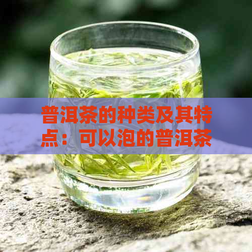 普洱茶的种类及其特点：可以泡的普洱茶品种解析