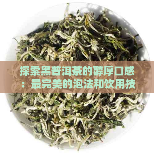 探索黑普洱茶的醇厚口感：最完美的泡法和饮用技巧