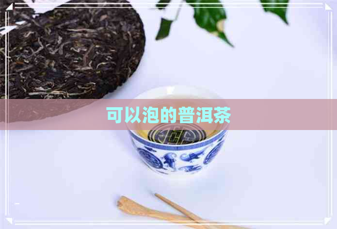 可以泡的普洱茶