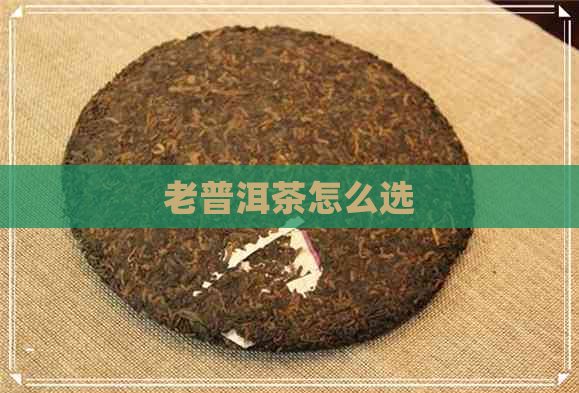 老普洱茶怎么选