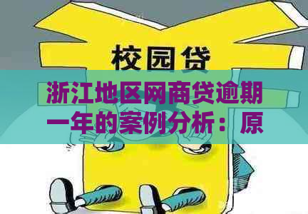 浙江地区网商贷逾期一年的案例分析：原因、影响与解决方案