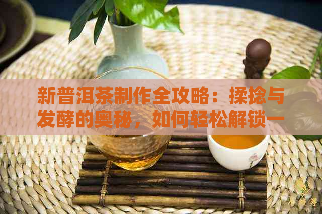 新普洱茶制作全攻略：揉捻与发酵的奥秘，如何轻松解锁一杯好茶？