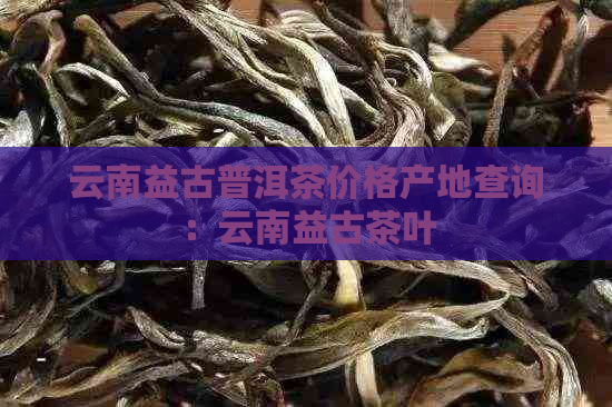 云南益古普洱茶价格产地查询：云南益古茶叶