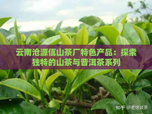 云南沧源佤山茶厂特色产品：探索独特的山茶与普洱茶系列