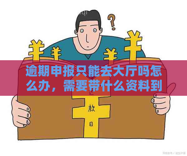 逾期申报只能去大厅吗怎么办，需要带什么资料到税务局申报？