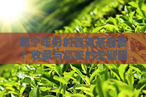 哪个年份的普洱茶品质？收藏与品鉴的关键因素大揭秘