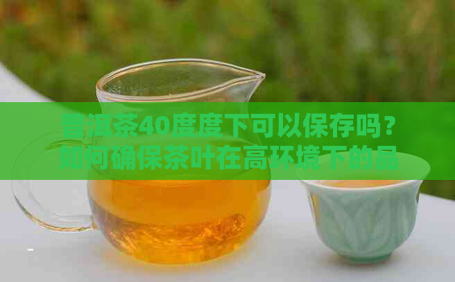 普洱茶40度度下可以保存吗？如何确保茶叶在高环境下的品质和风味？