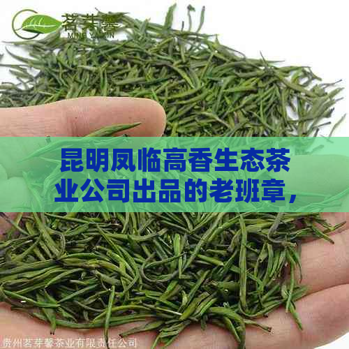 昆明凤临高香生态茶业公司出品的老班章，招聘信息以及用户评价