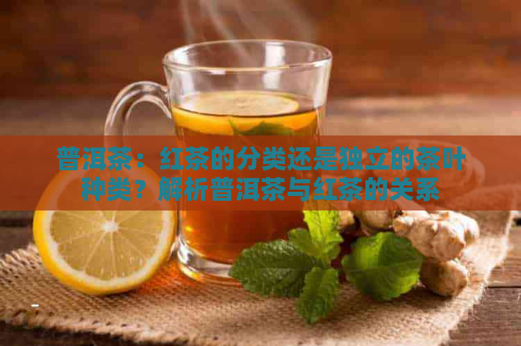 普洱茶：红茶的分类还是独立的茶叶种类？解析普洱茶与红茶的关系