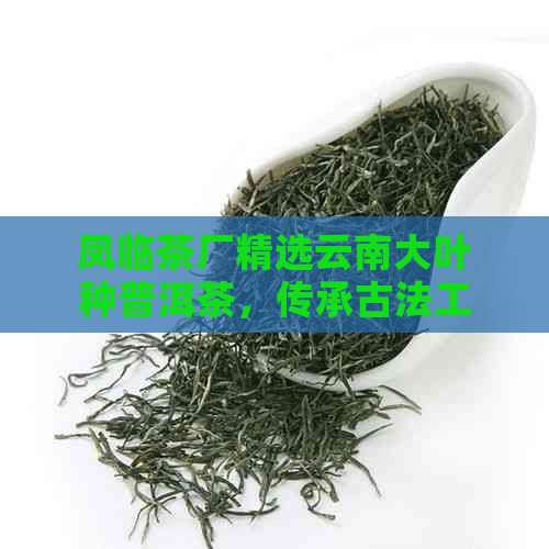 凤临茶厂精选云南大叶种普洱茶，传承古法工艺与独特品味的完美结合