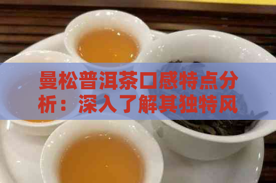 曼松普洱茶口感特点分析：深入了解其独特风味