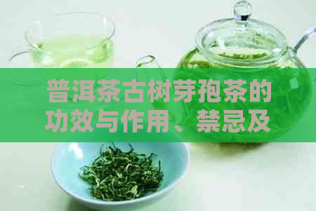 普洱茶古树芽孢茶的功效与作用、禁忌及存放时间和价格解析。