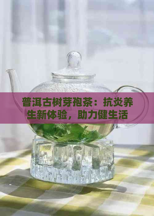 普洱古树芽孢茶：抗炎养生新体验，助力健生活